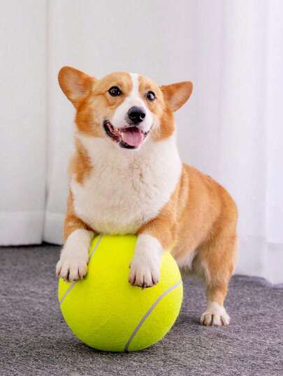 1pc Extra Large 24cm Dog Toy Ball, Suitable For Shiba Inu, Corgi, French Bulldog, Interactive Pet Supplies