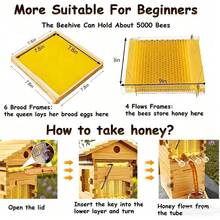 Automatic Self-Flow Hive Beehive Kit With Honey Spout And Observation Window, Full Wooden Beehive Box Set For Hobbyist Beekeepers,Backyard Gardens - 預設 - 查看 4