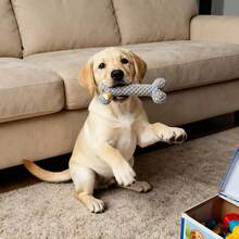 Pet Dog Chew Rope Toy Bone Shape Suitable For Small And Medium-Sized Pets - Multicolor - View 8
