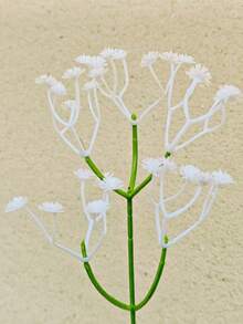 1件裝塑膠花瓶，現代奶油風居家桌面裝飾花瓶，多色可選（粉色/黑色/綠色與白色） - 多色 - 查看 8