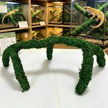 豹紋壁虎飼養缸配件，可調節攀爬玩具用品，烏龜棲息地裝飾 - 查看 8