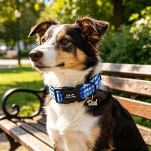 Elegant Small Tail Dog Collar, Cute Blue Plaid Pattern Puppy Collar, Adorable Pet Gift, Lightweight Plastic Adjustable Dog Collar - Blue and White - View 7
