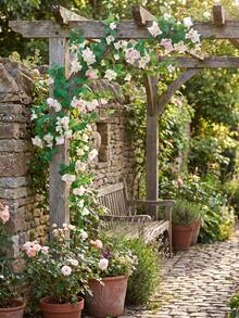 1pc 1.8m Artificial Rose Flower Vine With Green Leaves, Decor For Room, Party, Home, Wedding, Birthday, Christmas, Wall Arch, Spring Red Flowers - Bougainvillea Vines Pink - View 5