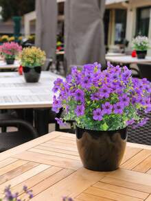 4束仿真紫罗兰花，抗紫外线塑料假植物，适用于室内/室外悬挂、花园、门廊、窗台花箱、家居、婚礼、农舍、节日装饰、户外露台/门廊/走道装饰、餐桌中心摆件、派对装饰、春夏花园装饰 - 紫色 - 查看 2