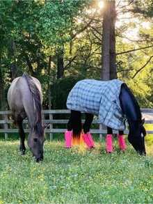 4件組透氣網眼防蠅馬靴，透氣網眼馬用腿套，防蠅咬馬腿護套 - 馬綁腿 - 查看 4