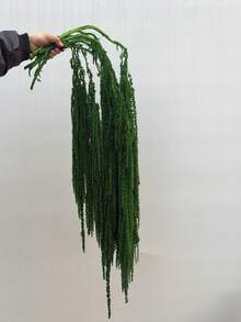 1/2/3/4/5 件装悬挂式苋菜花，花卉艺术，悬挂式花卉装饰，婚礼拱门装饰，背景装饰 - 墨綠色 - 查看 5
