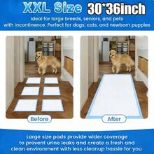 36*30/24*24 Inch Buy 75/50 Thickened High Quality Super Absorbent Dog Pee Pads - XXL Large Dog Bed Pads, Leakproof & Odor Control, Quick-Dry Durable Pads For Medium & Large Dogs, Disposable Pet Urine Mats With Easy Cleanup, Indoor/Outdoor Use, Camping - XXL - 查看 15