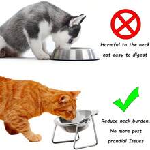 15°倾斜不锈钢猫碗带支架，符合人体工学的颈部保护宠物喂食器，防滑可拆卸增高式食物和水碗，适用于猫和小型犬 - 300ml - 查看 8