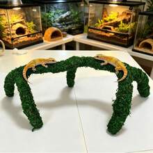 豹紋壁虎飼養缸配件，可調節攀爬玩具用品，烏龜棲息地裝飾 - 查看 9