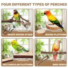 Perch 2 Grape Stick Paw Grinding Fork Natural Wood Bird Stand 4 Parrot Stand Bird Toys for Parakeets Chewing Exercise Branches, Bird Cage Accessories for Cockatiels, Conure, Budgies - Madera - Ver 4
