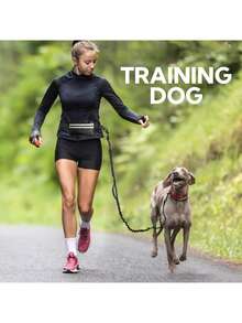 1 dây dắt chó rảnh tay kèm túi đeo hông, dây dắt thú cưng có thể thu gọn, túi đeo hông điều chỉnh được, thiết kế đường may phản quang, thích hợp cho chạy bộ, đi bộ, leo núi, chạy chậm. - Nhiều màu - Xem 3