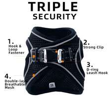 Breathable Mesh Dog Harness & Leash Set, Reflective Edge Step-In Puppy Vest W/ Soft Handle Leash, Adjustable Escape-Proof Harness Suitable For Small & Medium Dogs And Cats, Lightweight Night Gear For Daily Use - Black - View 3