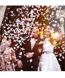 Rose Petals & Party Confetti - 50cm - View 3