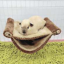 鸚鵡屋床鳥巢鸚鵡屋鸚鵡陽台，小動物雙層加厚絨毛保暖床倉鼠屋巢睡袋吊床 - 彩色 - 查看 16