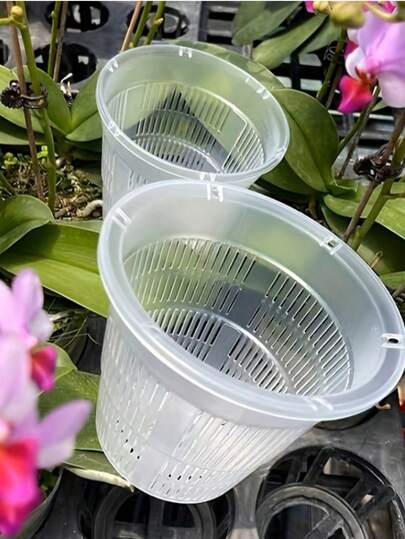 3 món: Chậu trồng lan bướm, Chậu chuyên dụng trồng lan bướm, Nắp chậu thoáng khí, Chậu kiểm soát rễ, Bát dinh dưỡng, Cốc ươm cây con, Chậu trồng lan.