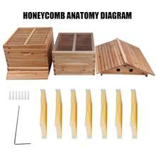 Bee Hives Boxes Starter Kit,Automatic Wooden Beehive House, 7pcs, Auto Honey Hive Frames, Beekeeping Starter Kit For Backyard Beekeeping Cabin Style Beehive - mặc định - Xem 5