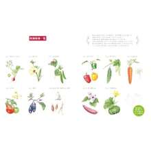 やさしい大人の塗り絵 野菜と花編, 2026 year - 写真の通り - チェックする 2