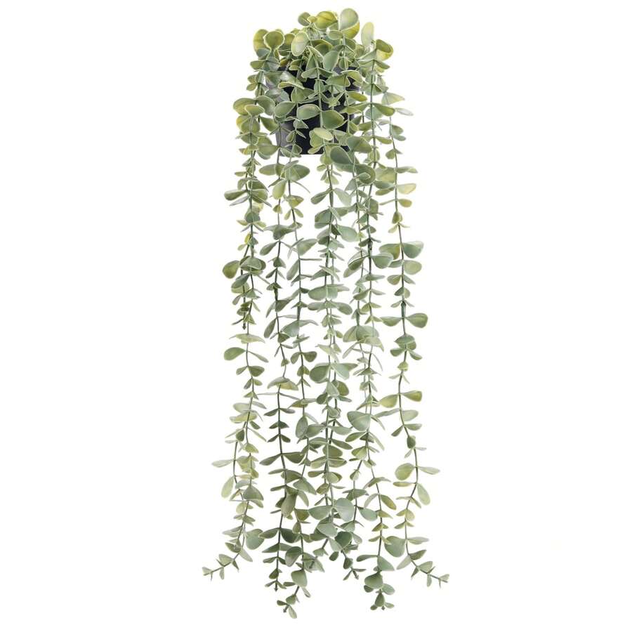 1件仿真植物悬挂式人造盆栽尤加利树,适用于现代波西米亚农舍风格浴室、办公桌、墙面装饰、置物架、客厅等室内装饰 - 彩色 - 查看 1