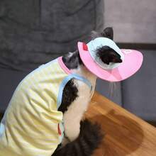 2pcs/Set Sphynx Cat Summer Sun Protection Outfit, Breathable Colorblock Tank Top + Adjustable Sun Hat, Anti-Shedding Belly Wrap, Machine Washable - Multicolor - View 5