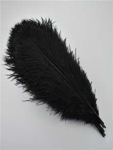 10pcs 15-35cm/6-14in Artificial Black Ostrich Feathers, Suitable For Crafts, Clothing Accessories, Feather Decoration, Centerpieces, DIY Projects, Christmas, Weddings, Masquerade Parties, Needlework And Handicrafts - 10 Ostrich Feathers, 15-35cm - View 12