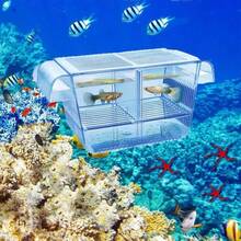 透明亚克力鱼缸繁殖隔离盒水族箱孵化器支架 - 彩色 - 查看 5