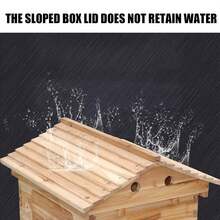 Bee Hives Boxes Starter Kit,Automatic Wooden Beehive House, 7pcs, Auto Honey Hive Frames, Beekeeping Starter Kit For Backyard Beekeeping Cabin Style Beehive - mặc định - Xem 6