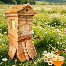 Automatic Self-Flow Hive Beehive Kit With Honey Spout And Observation Window, Full Wooden Beehive Box Set For Hobbyist Beekeepers,Backyard Gardens - 預設 - 查看 9