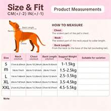 Adjustable Sunscreen Hat, Cute Ins Style Colorblock Design, Machine Washable, For Sphynx Cats In Summer - Multicolor - View 3