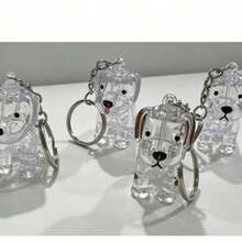 Transparent Pet Hair Storage Keychain Cat Dog Fur Memorial Pendant Christmas Graduation Mother's Day Universal Decorative Accessory - Multicolor - View 4