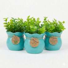 Set Of 3 Mini Artificial Flower Pots With Plant, Suitable For Home Decoration In Living Rooms And Bedrooms - 3 Blue - View 2