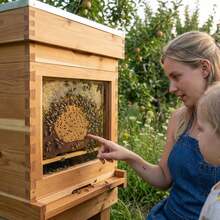 Flow Bee Hive Starter Kit – Complete Automatic Beekeeping Box Set For Beginners – Easy-To-Use Beehive With All Essential Accessories(Bottom Stand Not Included) - default - View 7