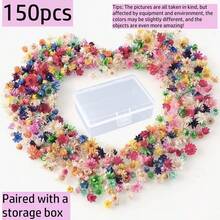 150 piezas de flores decorativas de colores (incluye una caja de almacenamiento transparente), adecuadas para manualidades de decoración del hogar, proyectos artísticos estacionales y elaboración de ramos. Perfecto para el Día de Acción de Gracias, Halloween y Navidad. Los pétalos delicados aportan un toque festivo. Material de artesanía ligero. Un hermoso set de pequeñas flores en forma de estrella, también adecuado para la fabricación de joyas de resina. - multicolor - Ver 12