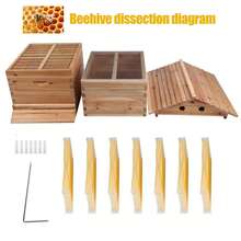 Bee Hives Boxes Starter Kit, Beekeeping Equipment, Easy To Use, Ideal For Honey Production, With 7 PCS Upgraded Auto Frame Comb-Beehive Box Honey Free Harvesting Wood - 預設 - 查看 6