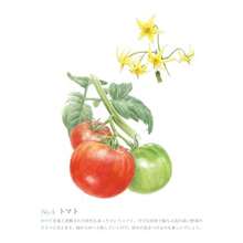 やさしい大人の塗り絵 野菜と花編, 2026 year - 写真の通り - チェックする 6