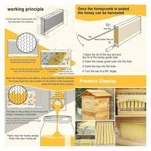Bee Hives Boxes Starter Kit,Automatic Wooden Beehive House, 7pcs, Auto Honey Hive Frames, Beekeeping Starter Kit For Backyard Beekeeping Cabin Style Beehive - mặc định - Xem 4