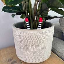 1pc/2pcs Multicolor 3D Printed Gothic Witch Leg Garden Planter Decor, Suitable For Plant Decoration, Outdoor Garden Arrangement, Wedding Decoration, Holiday Decoration, Indoor Room Decoration, Balcony Decoration, Summer Bedroom Decoration, DIY Planter Decoration, Perfect Holiday And Outdoor Garden Decoration, Novelty Party Gift Supplies, Holiday Gift Supplies, Suitable For Halloween, Christmas Holiday Gifts, Random Color Shipment - Leg - View 6