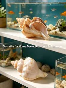1pc Natural Flower Shell, Made Of Natural Seashell Material, Mountain Shell, Aquarium Decor, Suitable For Home Decor, Decorations, Bedroom Decor, Marine Theme Decor, Elegant Ocean Series, Holiday Decor, Can Be Used As Crab Habitat Shell, Flower Pot And Collector's Gift. - Multicolor - View 7