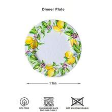 Plates - Limn - View 6