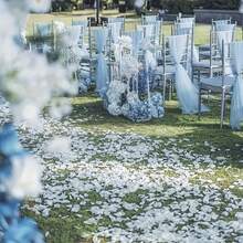 500pcs Large Capacity Artificial Rose Petals - Realistic White Wedding & Valentine's Day Confetti, Plastic Rose Petal Pieces, Suitable For Wedding Aisle, Proposal Backdrop - Affordable Party Decor - Multicolor - View 5