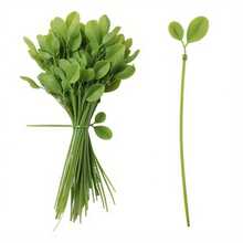 10/20 piezas Ataduras con forma de hoja con cierre automático, ataduras de cremallera de alta resistencia, adecuadas para interiores y exteriores, decorativas, ataduras de almacenamiento con hojas simuladas, decoración especial, uso extra largo para jardinería - Atado de hojas - Ver 11