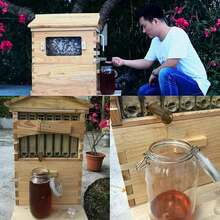Bee Hives Boxes Starter Kit, Beekeeping Equipment, Easy To Use, Ideal For Honey Production, With 7 PCS Upgraded Auto Frame Comb-Beehive Box Honey Free Harvesting Wood - 預設 - 查看 5