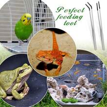 1-2pcs Reptile Feeding Tools, Stainless Steel Feeding Tweezers For Gecko, Mane Lion Lizard, Feeding Insects And Cleaning, Rubber Tip Aquatic Plant Tweezers, Long Handle Won't Hurt Pets, Suitable For Pacman Frog, Gecko - C-Silver - View 6
