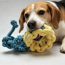 1PC Snail Shape Dog Chew Toy, Ultra Durable Indestructible Dog Rope Toy For Aggressive Chewers, Interactive Treat Pet Toy, Teeth Cleaning Dental Grinding Chew Toy For Small Medium Large Dogs, Indoor Outdoor Training Bite Resistant Puppy Entertainment Supplies - Multicolor - View 3