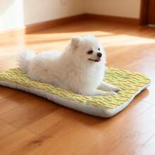1pc Soft Pet Bed Pad With Minimalist Carrot Pattern, Washable Dog Crate Mat Suitable For Small/Medium/Large Dogs, Reversible Cat Bed Mat, 4-Season Use - Multicolor - View 3
