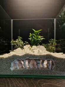 3D列印宮廷風水族館裝飾品，魚類與爬蟲用人造洞穴遮蔽處，免組裝生態缸景觀裝飾 - A - 查看 4