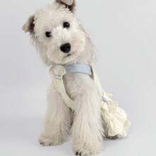 Colorblock Ruffled Dog Dress, Pet Clothes - Yellow - View 4