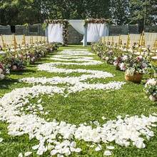 500pcs Large Capacity Artificial Rose Petals - Realistic White Wedding & Valentine's Day Confetti, Plastic Rose Petal Pieces, Suitable For Wedding Aisle, Proposal Backdrop - Affordable Party Decor - Multicolor - View 6