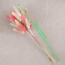 55-60根，17英寸红色人造兔尾草，家居装饰人造兔尾草茎，适用于波西米亚风格插花、DIY手工、家居厨房和婚礼装饰、圣诞节、感恩节、花环装饰 - 粉紅棕色 - 查看 7