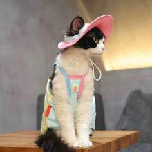 Adjustable Sunscreen Hat, Cute Ins Style Colorblock Design, Machine Washable, For Sphynx Cats In Summer - Multicolor - View 6