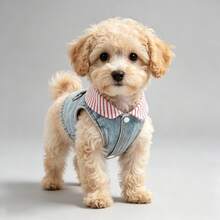 Dog Coat, Fashionable Soft Dog Clothes, Suitable For Small And Medium Dogs, All Seasons, Durable Puppy Coat, Pet Apparel - Red - View 6